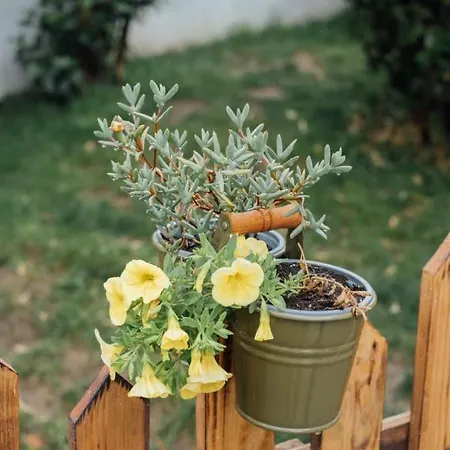 Casa Ti Carolina 度假居